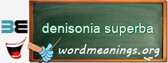 WordMeaning blackboard for denisonia superba